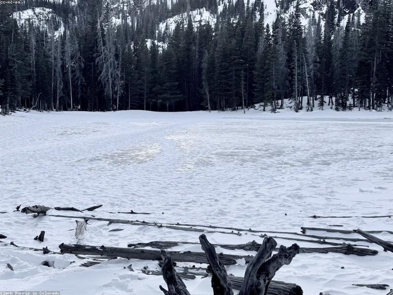 2026 Colorado Insurance Coverage Guide